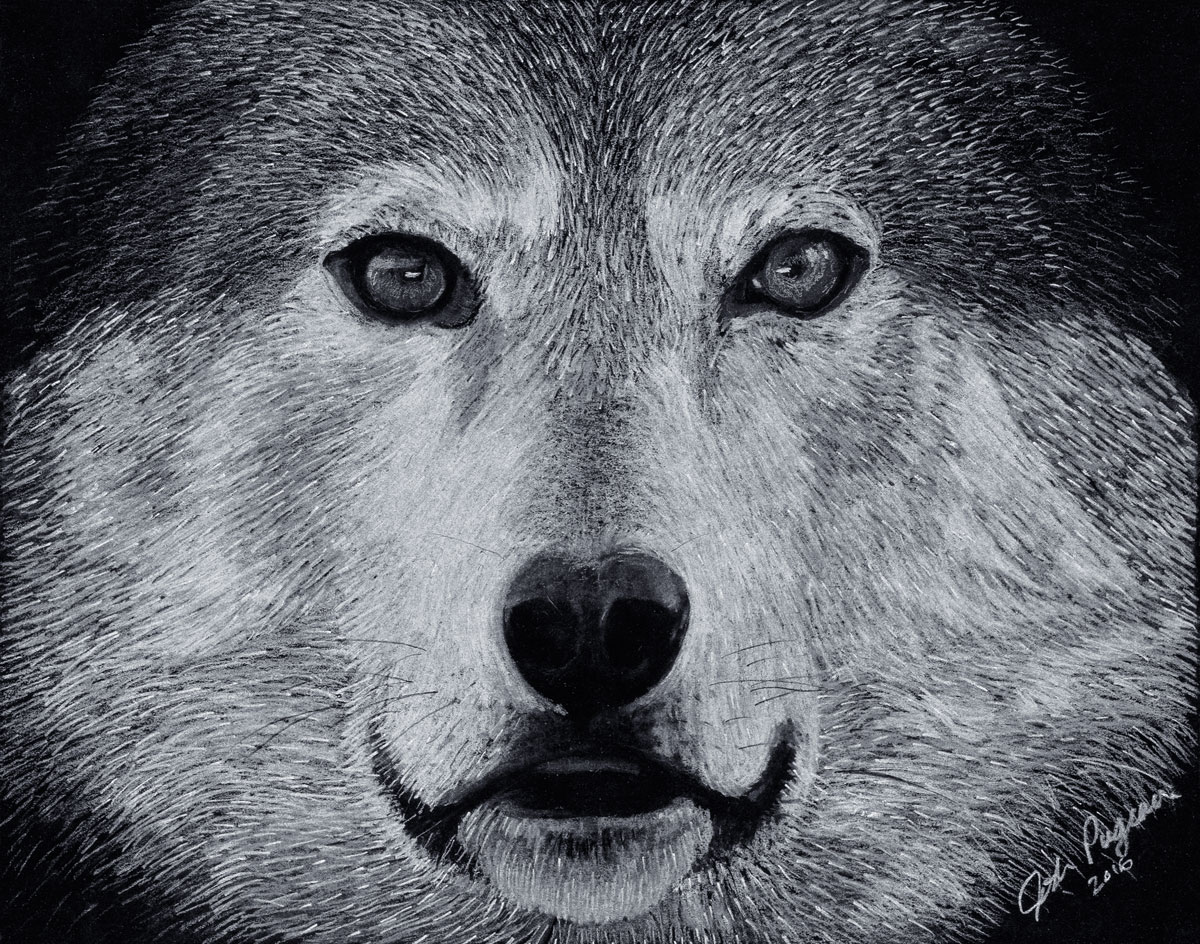 Wolf (Charcoal)