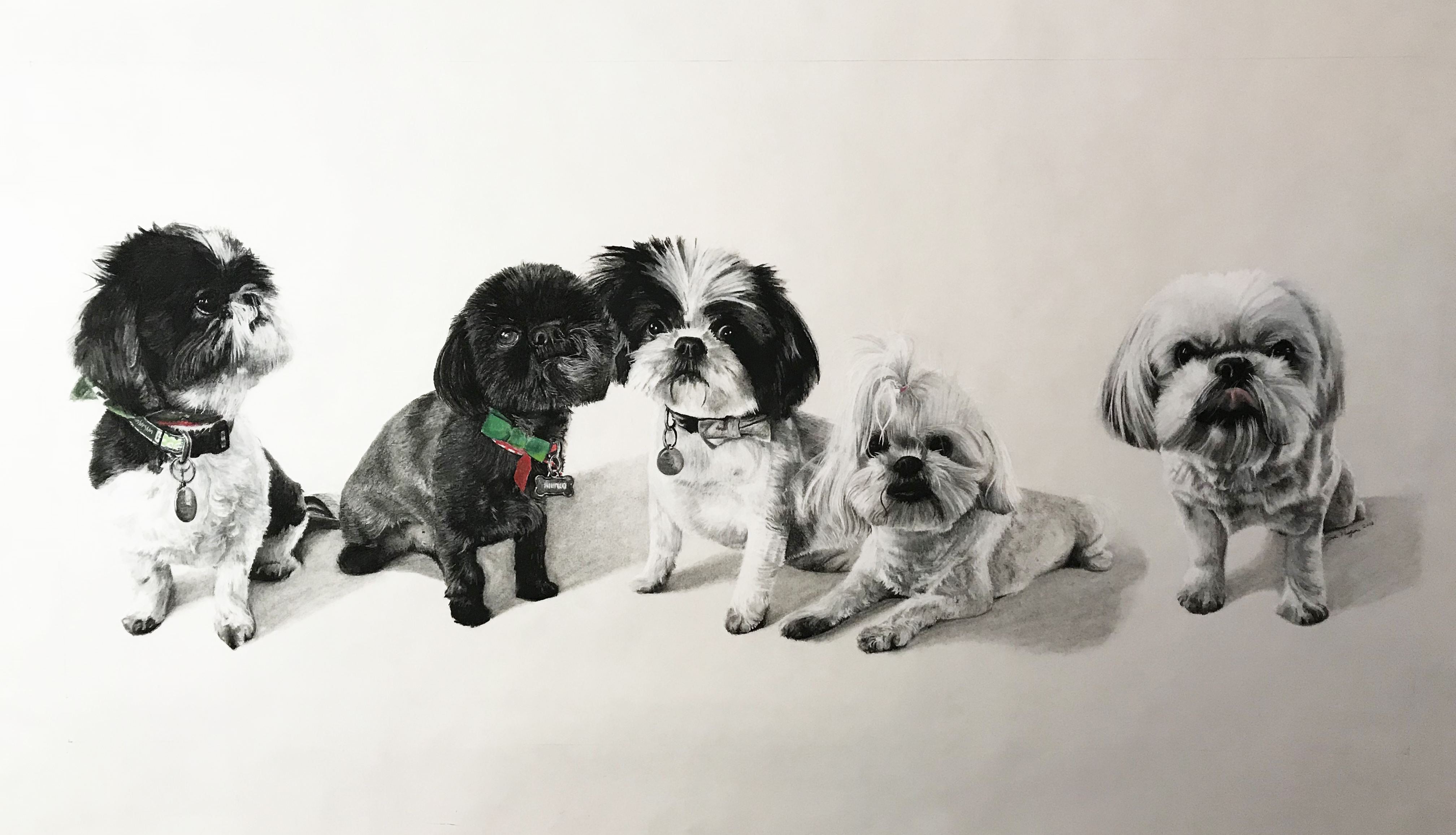 Dogs (Charcoal by Commission)