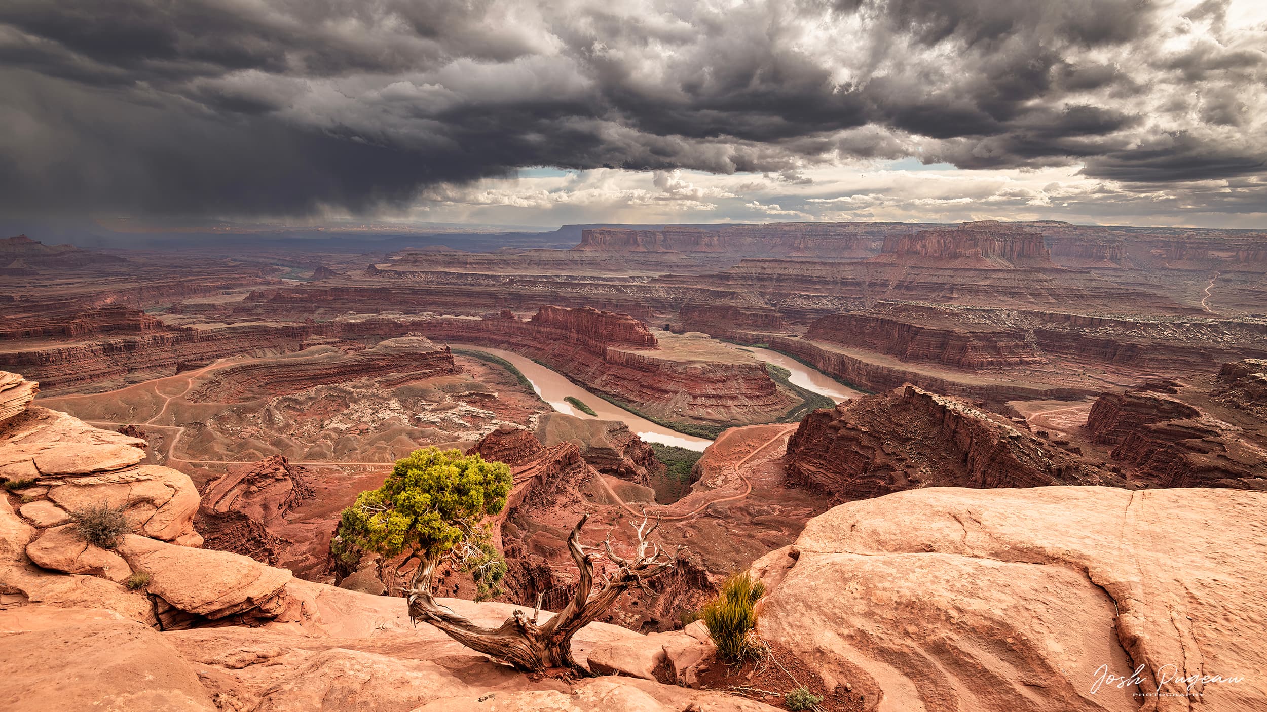 2022 Deadhorse Point Dramatic Sky with Tree Web 2500